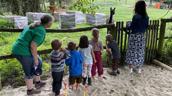 Zwei Erzieherinnen und fünf Kinder beobachten ein Alpaka